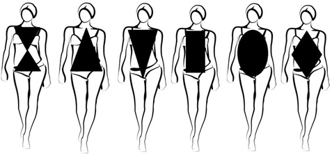 Horizontal Body Types